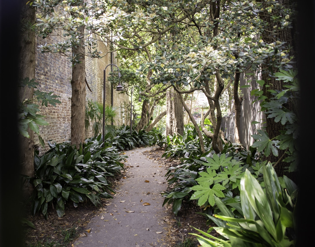 Charleston's Most Captivating Hidden Gardens The Jasper